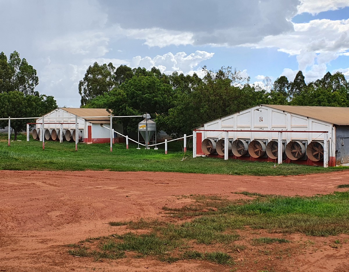 Hybrid Microgrid Control and Monitoring System at Granja San Rafael