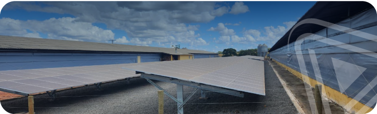 Caso de exito eficiencia energetica en granja avicola